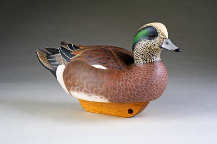 Brace Wigeon